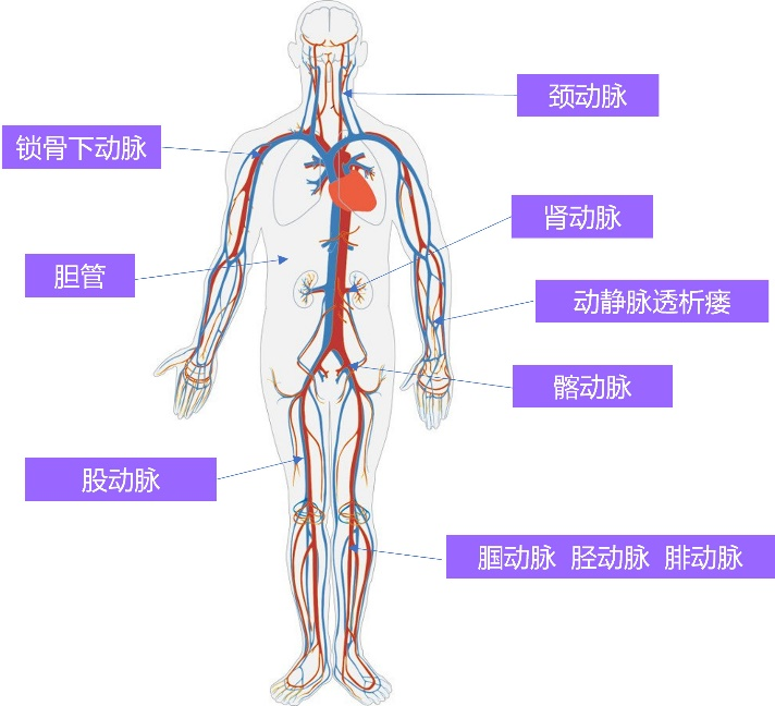 &#108;&#111;&#103;&#105;&#110;&#95;&#35946;&#38376;&#22269;&#38469;